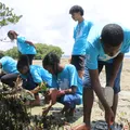 Acelen abre inscrições para projetos socioambientais na Bahia imagem