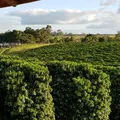 Agricultores investem EUR 311 milhões anuais em pesquisa imagem