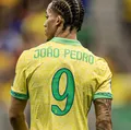Ancelotti explica cortes na Seleção e lamenta ausência de João Pedro imagem