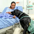 Animais estão liberados para visitar tutores em hospitais de Salvador imagem