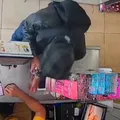 Assaltante é baleado e chora após tentativa de roubo: "Eu tenho filho" imagem
