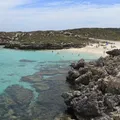 Ataque de tubarão mata pescador durante mergulho em praia turística imagem