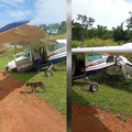 Avião com crianças cai em aldeia indígena no Pará imagem