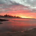 Braço humano em decomposição é encontrado na areia de praia turística imagem