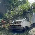 Caminhão é atingido por árvore e duas pessoas morrem no interior da Bahia imagem