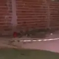 Cigano é morto a tiros no interior da Bahia imagem