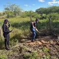 Corpo de pedreiro é encontrado enterrado no quintal de vizinho na Bahia imagem