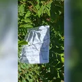 Corpo decapitado é encontrado com bilhete do CV e recado macabro imagem