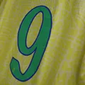Craque do Brasil na Copa do Mundo anuncia candidatura a deputado imagem