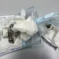 Dentista é presa por entregar drogas escondidas em gaze em presidio imagem