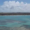 Destino barato no Nordeste abriga uma das maiores barreiras de corais imagem
