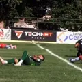 Enxame de insetos interrompe partida de futebol no interior da Bahia imagem
