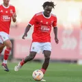 Ex-jogador do Benfica é esfaqueado e fica em estado grave na Dinamarca imagem