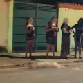 Idoso é atacado por pit bull e tutor mata cão a facadas imagem