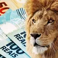 Imposto de Renda 2026: saiba se gastos no cartão de crédito podem levar à malha fina imagem