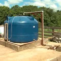 Jovens produtores incluem biogás na gestão do setor imagem