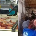 Mais de 200 kg de carne bovina sem inspeção são apreendidos imagem