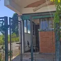Mistério: vigilantes são encontrados mortos em usina desativada imagem