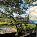 MPBA cobra atualização da limpeza da Lagoa Timeantube após denúncias imagem