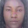 Mulher é morta a pedradas e companheiro confessa crime imagem