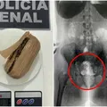 Mulher é presa ao tentar entrar com droga em presídio da Bahia imagem