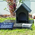 Nova lei pode permitir que pets sejam sepultados junto aos tutores imagem