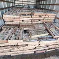 Nove toneladas de peixe são apreendidas em operação na Bahia imagem