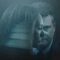 O crime real por trás de A Escada, série que está bombando na Netflix imagem