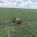 Onde comprar terra? Os 10 estados que são tendência rural em 2026 imagem