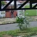 PM é internado com suspeita de envenenamento após consumir açaí na BA imagem