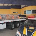 PRF apreende quase 2 toneladas de maconha em rodovia da Bahia imagem