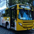Salvador terá novos ônibus com ar-condicionado; saiba quando imagem