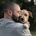 Senado aprova guarda compartilhada de pets após separação imagem