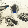 Síndrome do bebê azul: por que crianças devem evitar praia de Paripe imagem