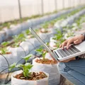 Tecnologia a serviço do desenvolvimento impulsiona o agronegócio imagem