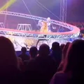 Tigre invade plateia e causa pânico em circo imagem