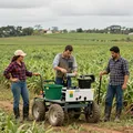 Um novo homem do campo: qual será o perfil do produtor rural até 2030 imagem
