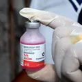 Vacinação antirrábica é realizada em bairros de Salvador; confira cronograma imagem