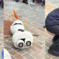 Vídeo: robô da Disney entra em colapso por não suportar trabalho humano imagem