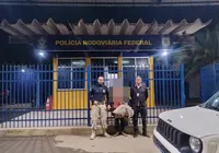 Adolescente aprende a dirigir online e viaja para encontrar garota do Roblox