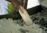 Agricultores familiares criam macarrão de aipim