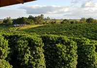Agricultores investem EUR 311 milhões anuais em pesquisa imagem