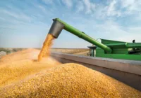 Além da Bolsa de Chicago: gestão de riscos, por Roberta Paffaro