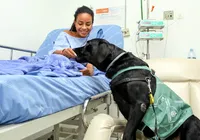 Animais estão liberados para visitar tutores em hospitais de Salvador imagem