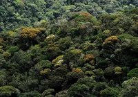 Asiáticos não querem problemas com o Meio Ambiente