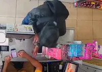 Assaltante é baleado e chora após tentativa de roubo: "Eu tenho filho" imagem