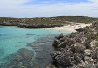 Ataque de tubarão mata pescador durante mergulho em praia turística imagem