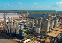 Avanço do etanol de milho fortalece a cadeia do grão