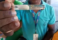 Bahia cria regras para acesso a imóveis no combate à dengue, zika e chikungunya imagem