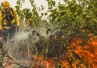 Brasil na rota do “Super El Niño”: calor extremo e  seca preocupam